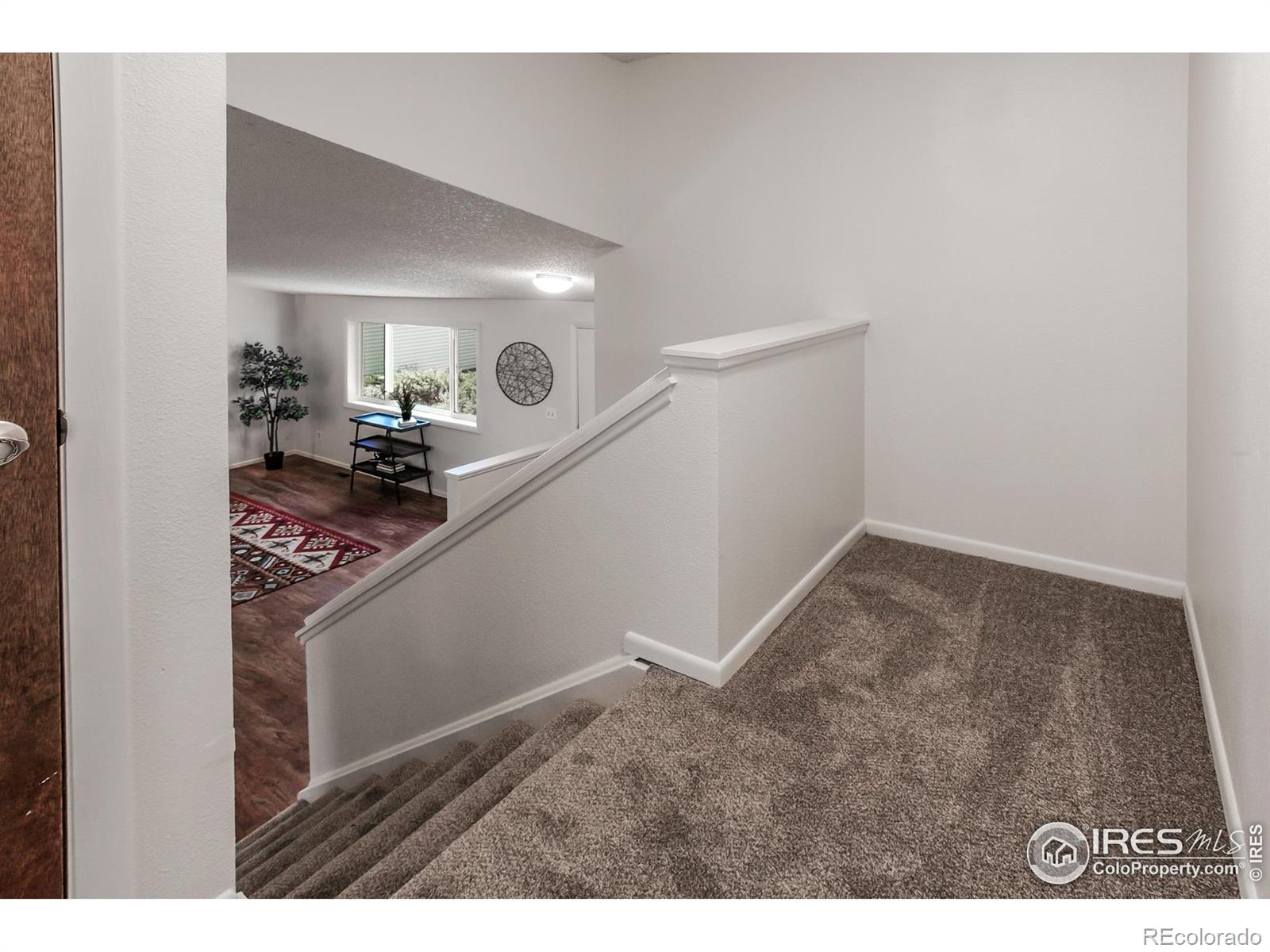 MLS Image #15 for 2826  morgan court,fort collins, Colorado