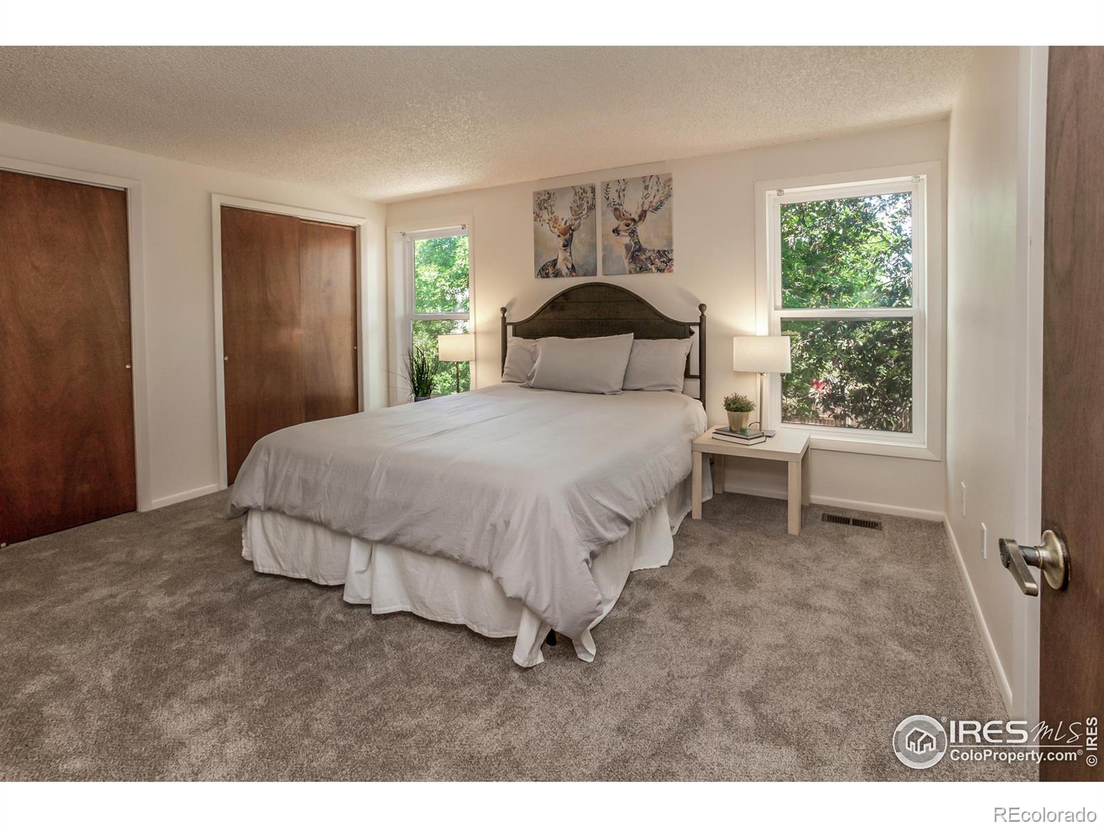 MLS Image #18 for 2826  morgan court,fort collins, Colorado