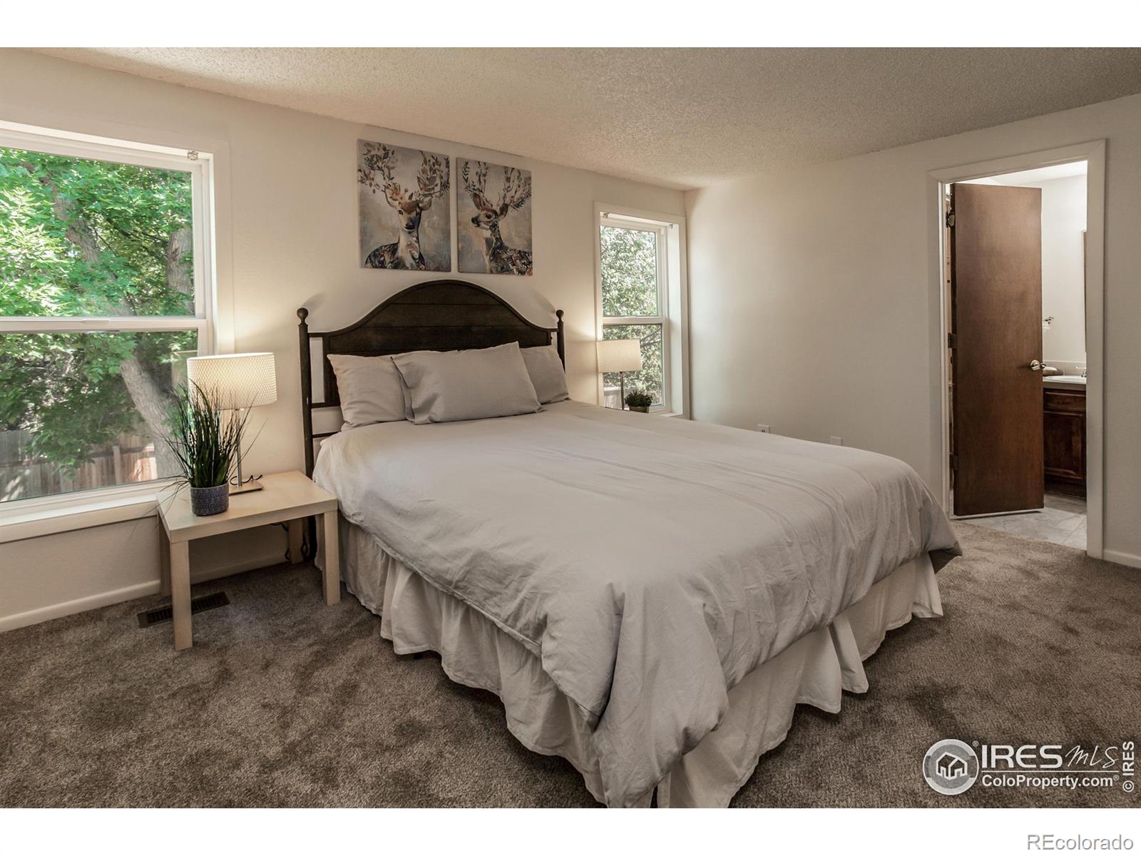 MLS Image #19 for 2826  morgan court,fort collins, Colorado