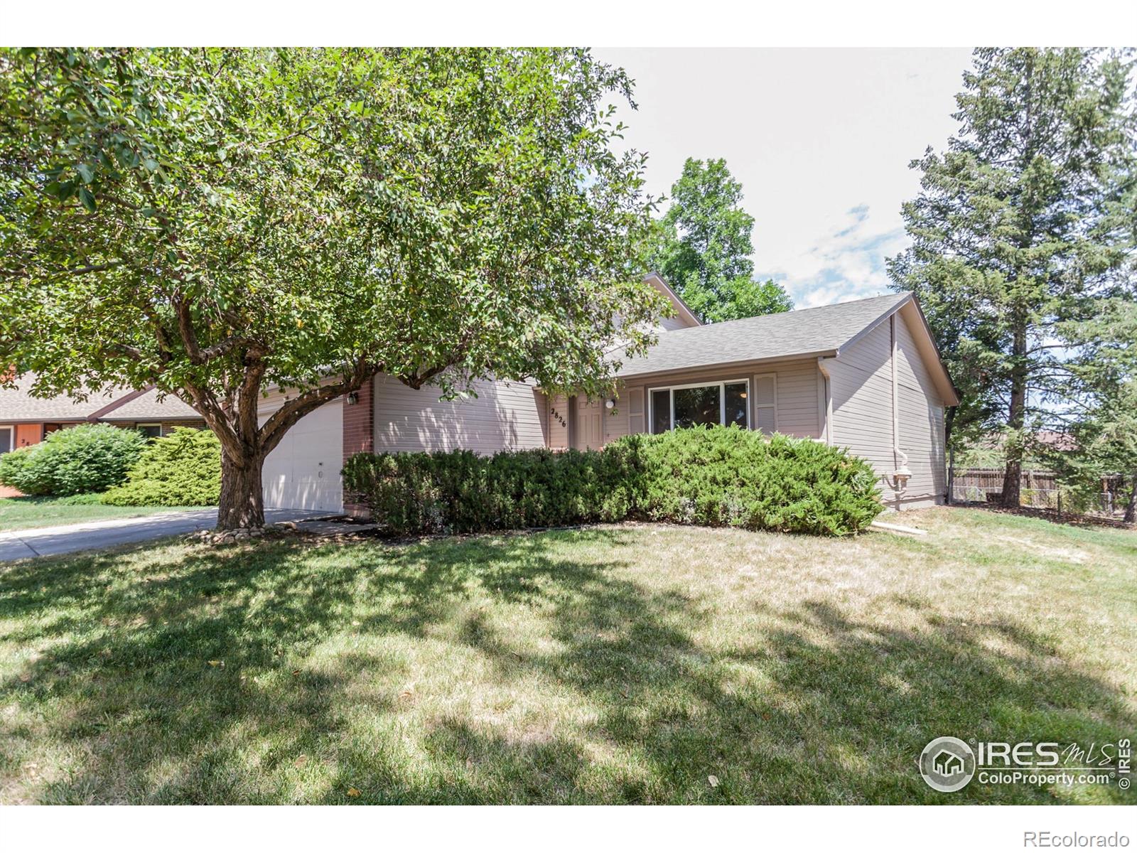 MLS Image #2 for 2826  morgan court,fort collins, Colorado