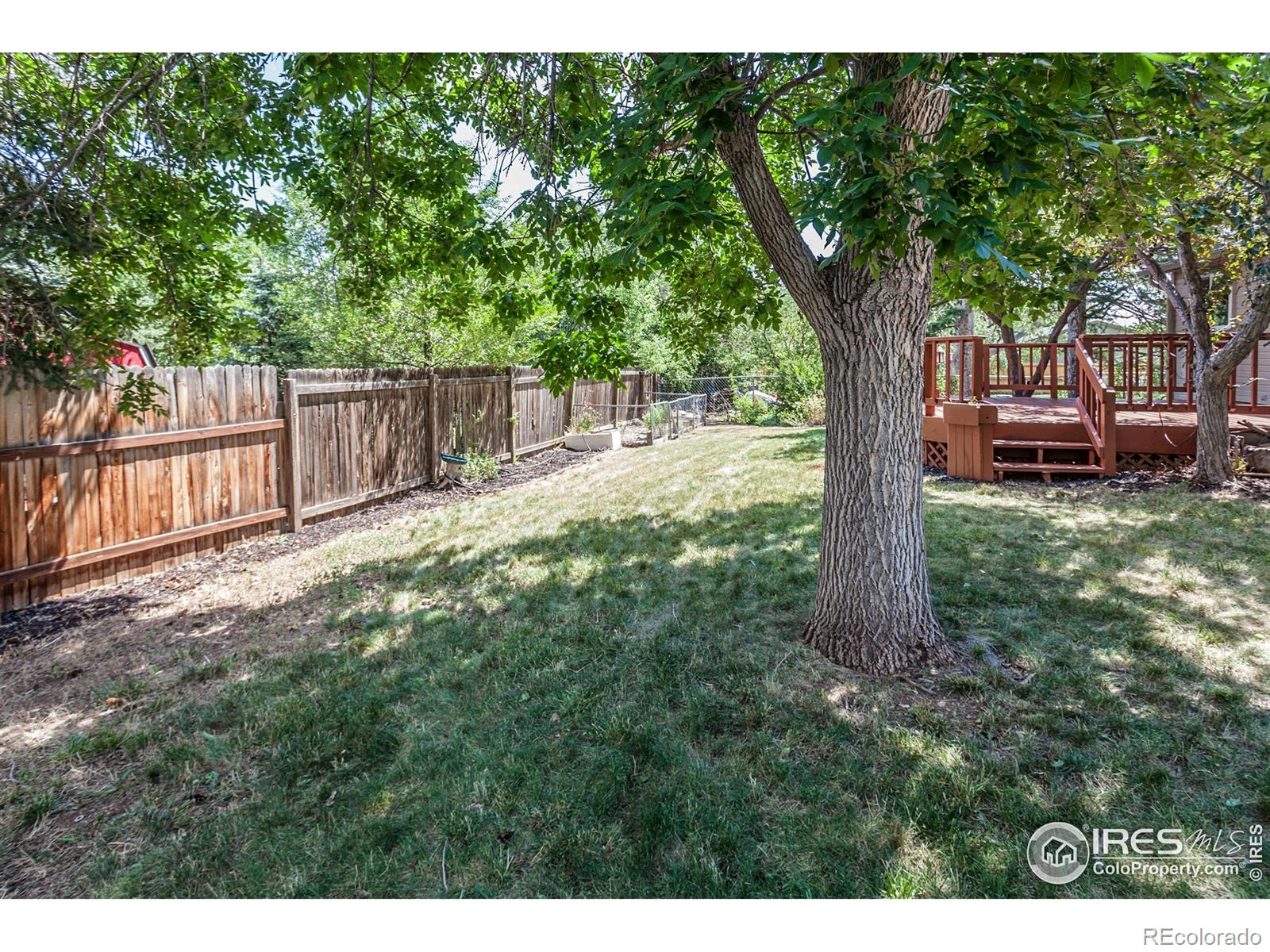 MLS Image #33 for 2826  morgan court,fort collins, Colorado