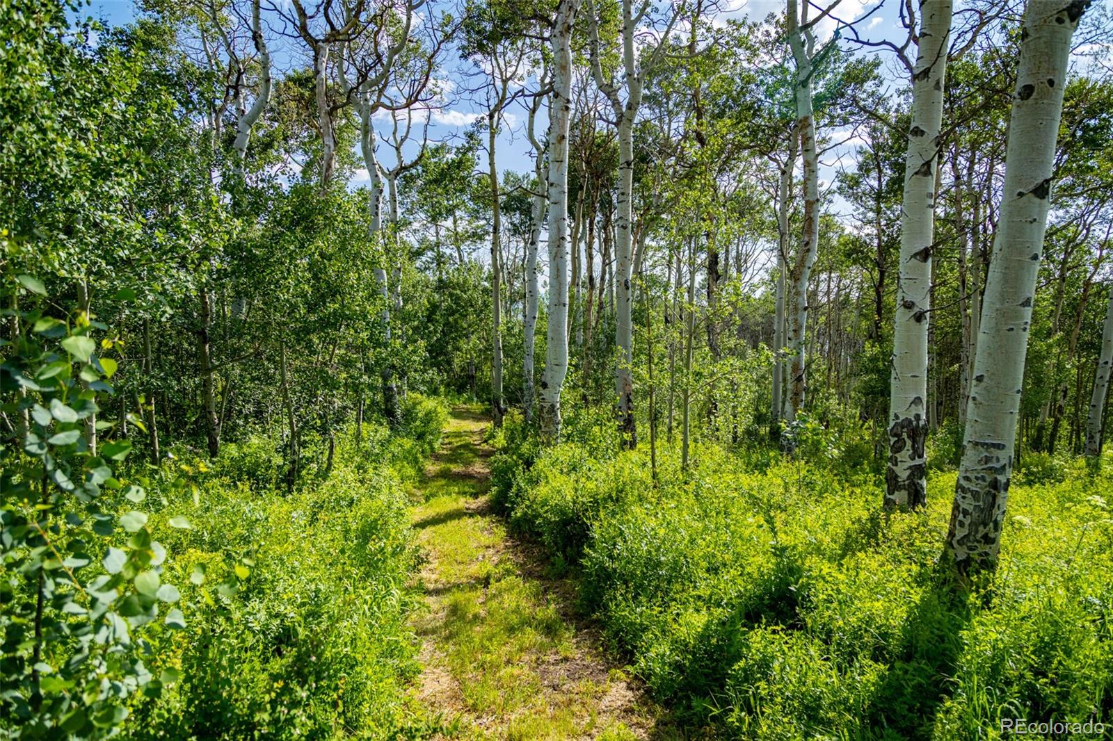 MLS Image #49 for 6903  bellyache ridge road,wolcott, Colorado
