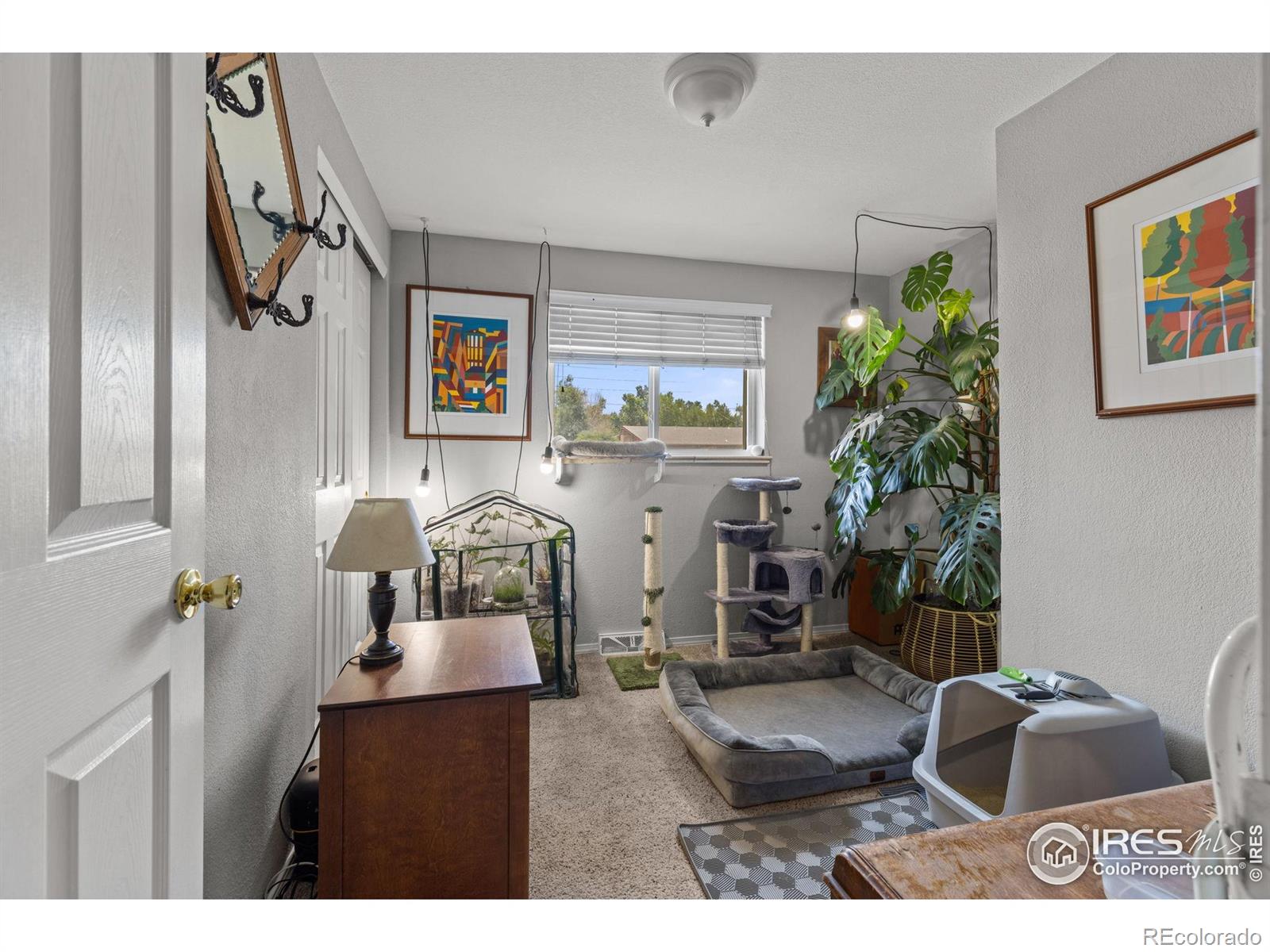 MLS Image #12 for 4653  dover street,wheat ridge, Colorado