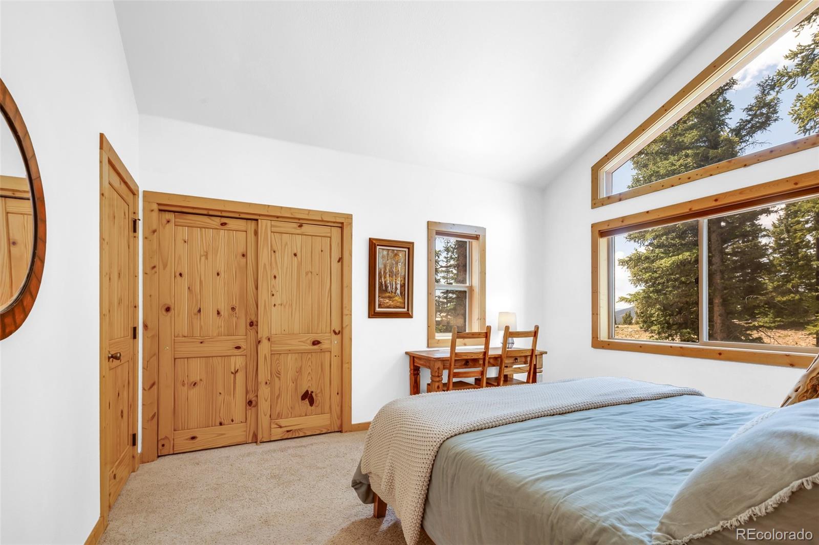 MLS Image #11 for 1205  mountain view drive,fairplay, Colorado
