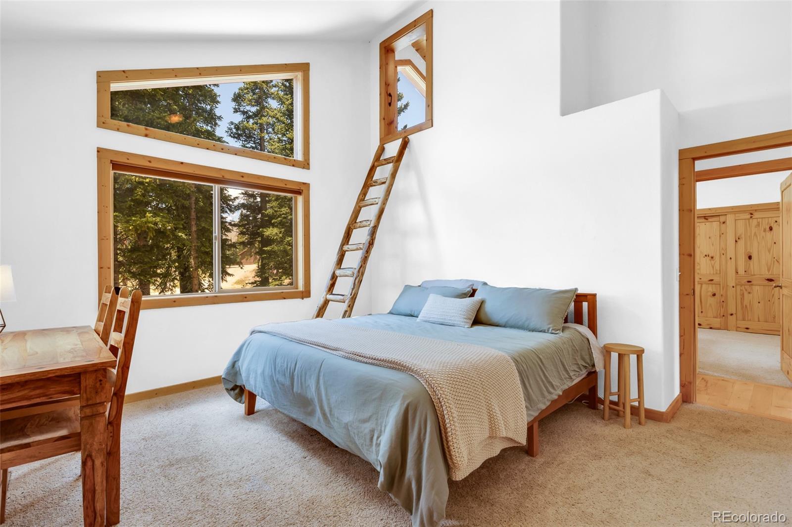 MLS Image #12 for 1205  mountain view drive,fairplay, Colorado