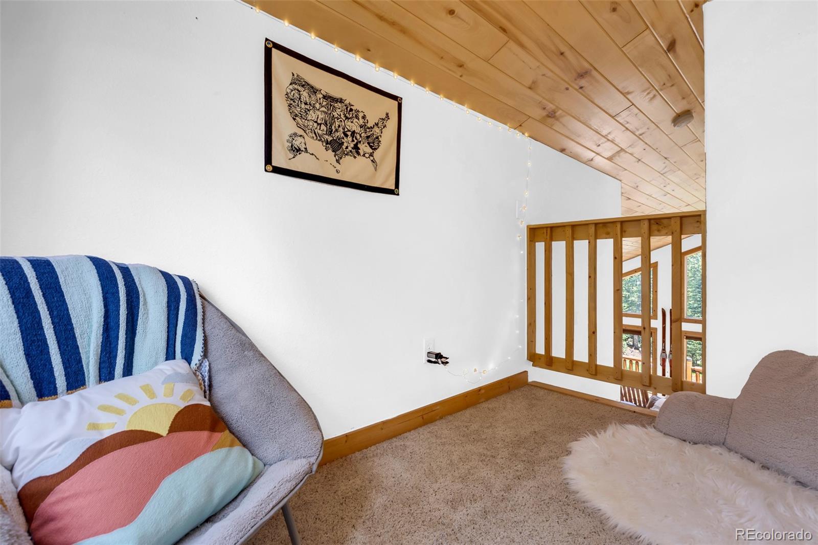 MLS Image #14 for 1205  mountain view drive,fairplay, Colorado