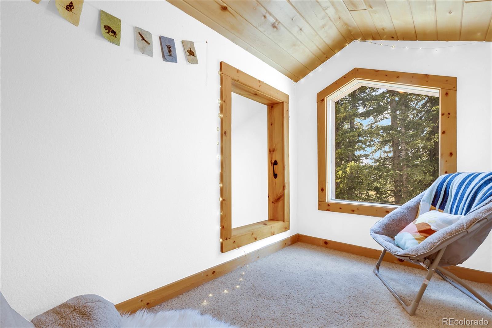 MLS Image #15 for 1205  mountain view drive,fairplay, Colorado