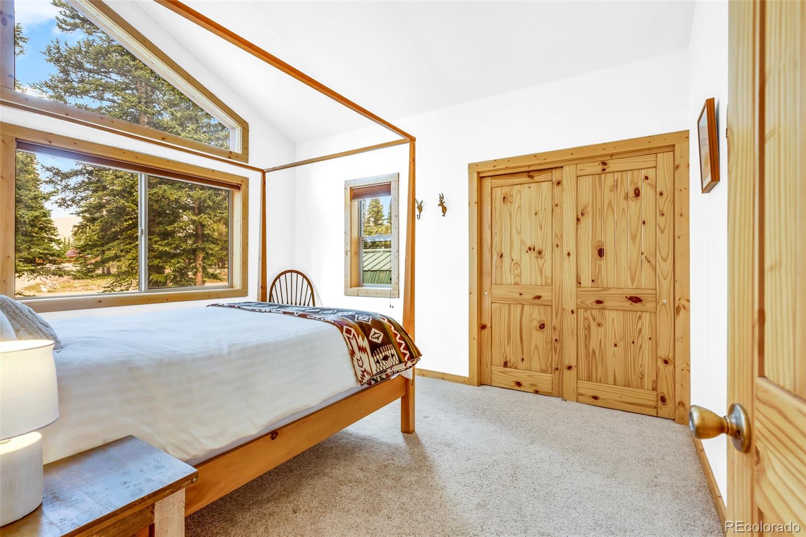 MLS Image #18 for 1205  mountain view drive,fairplay, Colorado