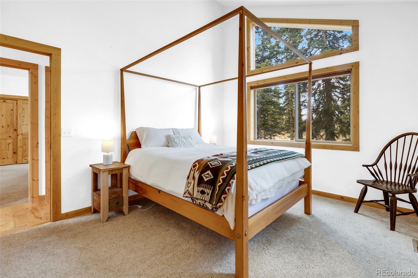 MLS Image #19 for 1205  mountain view drive,fairplay, Colorado
