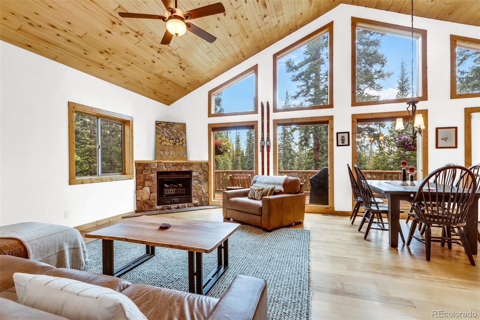 MLS Image #2 for 1205  mountain view drive,fairplay, Colorado