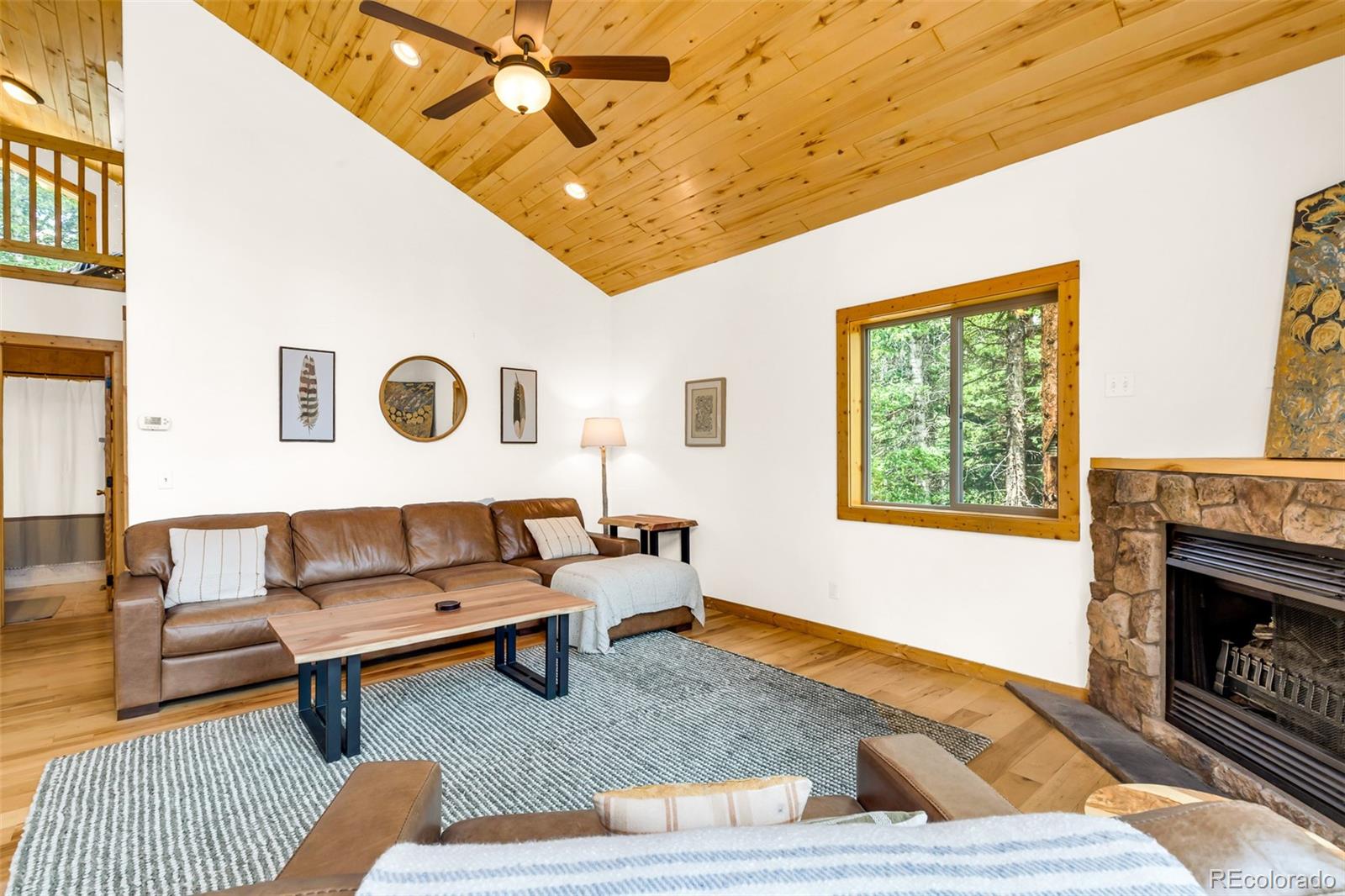 MLS Image #21 for 1205  mountain view drive,fairplay, Colorado