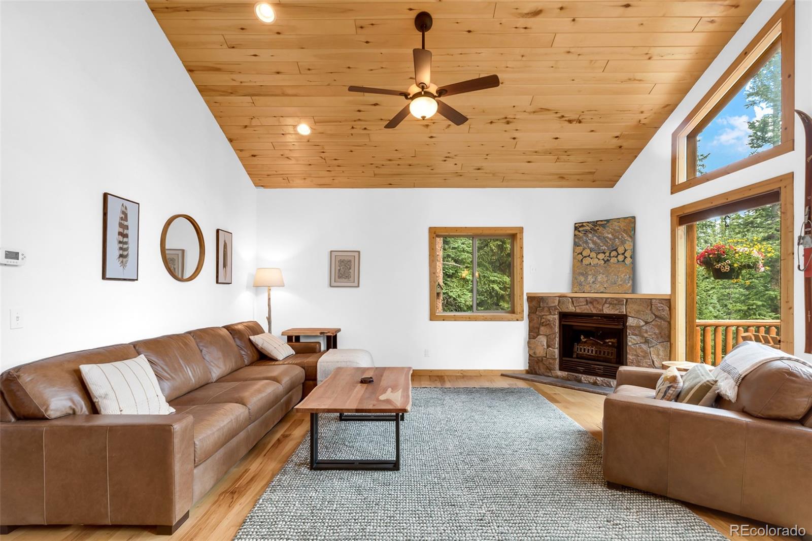 MLS Image #23 for 1205  mountain view drive,fairplay, Colorado