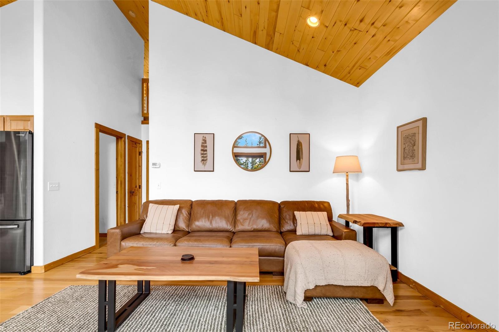 MLS Image #24 for 1205  mountain view drive,fairplay, Colorado