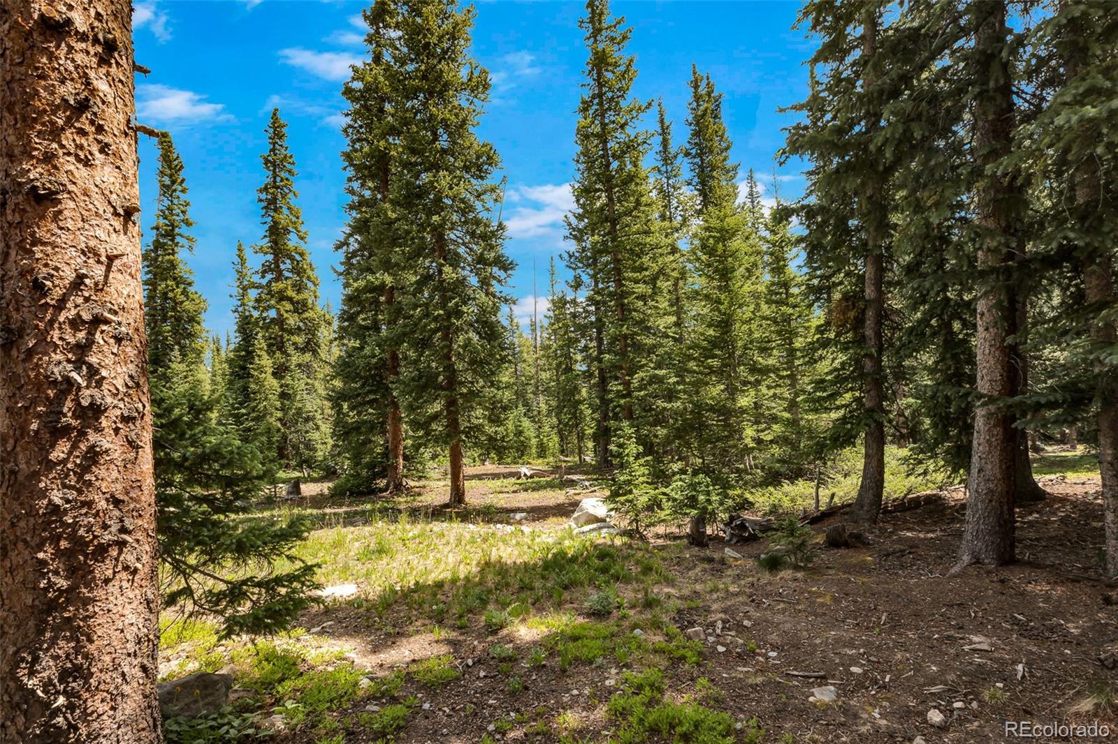 MLS Image #26 for 1205  mountain view drive,fairplay, Colorado