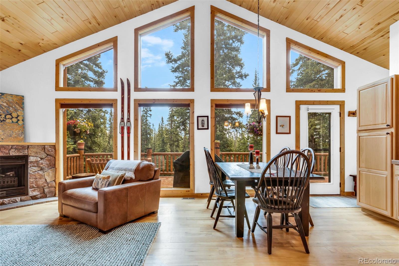 MLS Image #27 for 1205  mountain view drive,fairplay, Colorado