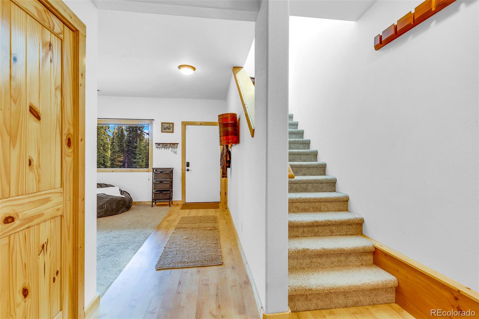 MLS Image #29 for 1205  mountain view drive,fairplay, Colorado