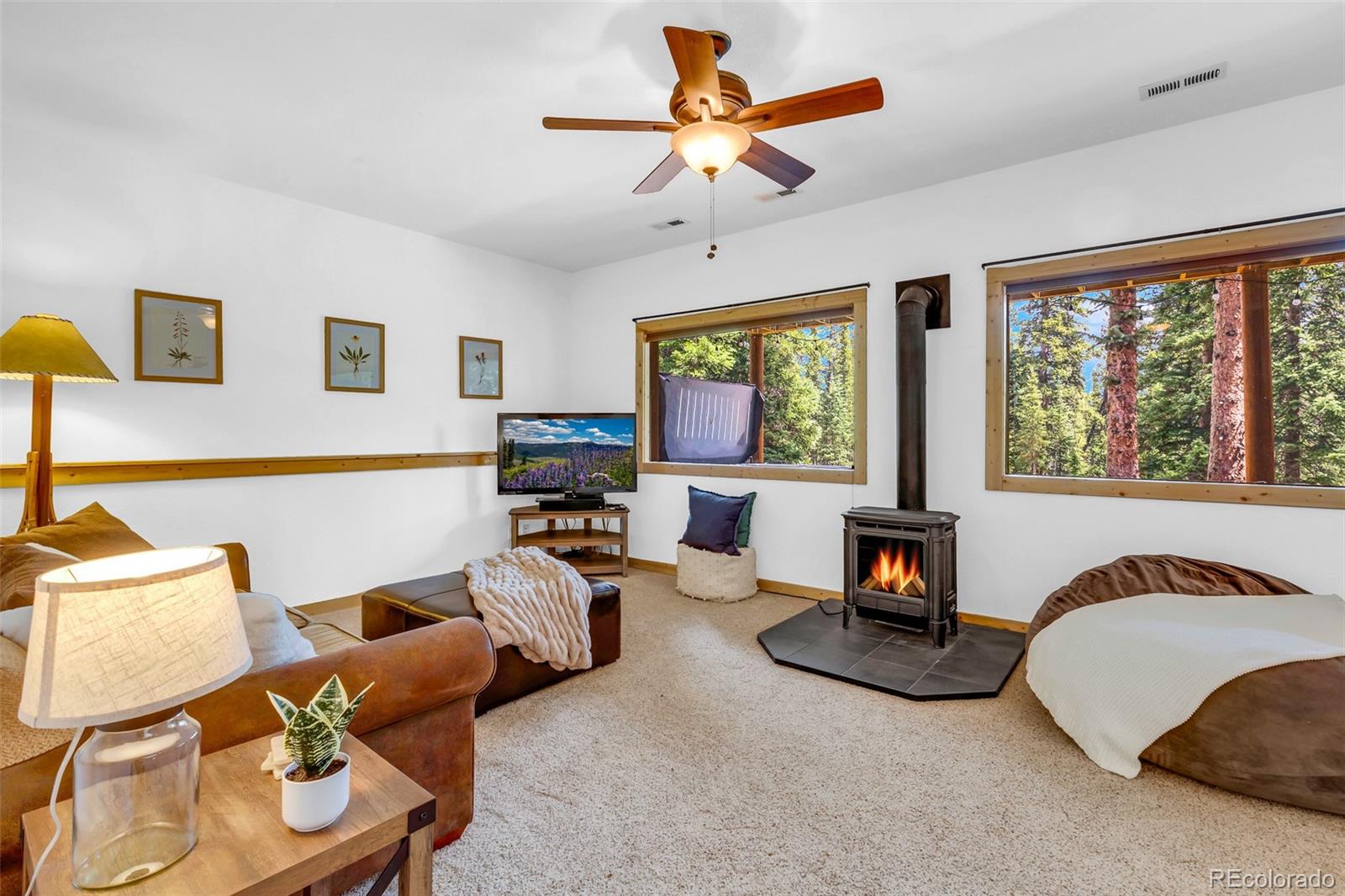 MLS Image #31 for 1205  mountain view drive,fairplay, Colorado