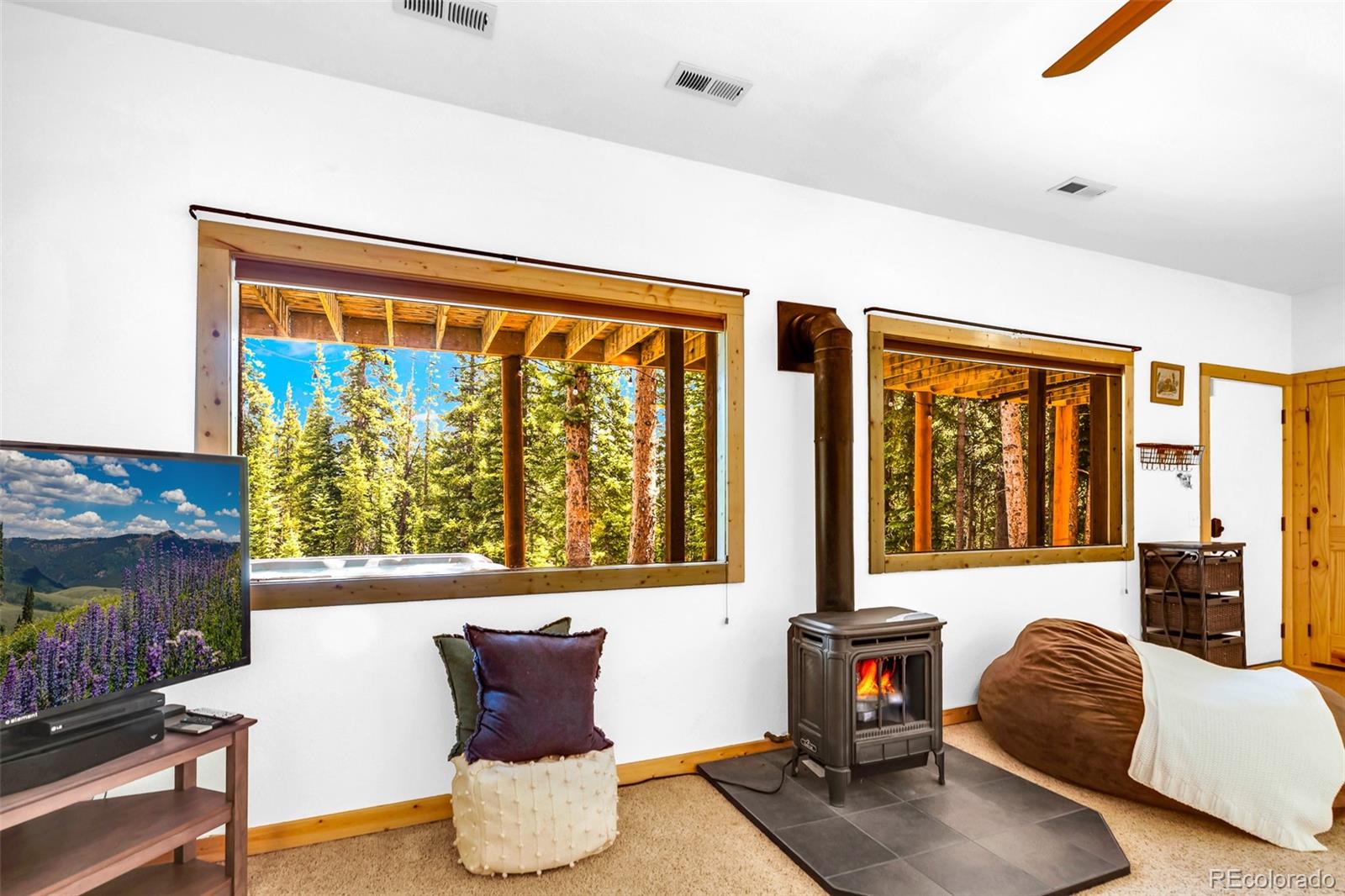 MLS Image #32 for 1205  mountain view drive,fairplay, Colorado