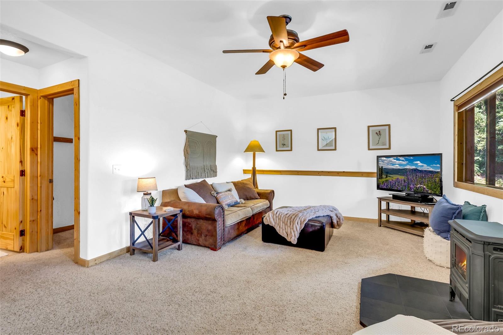 MLS Image #34 for 1205  mountain view drive,fairplay, Colorado