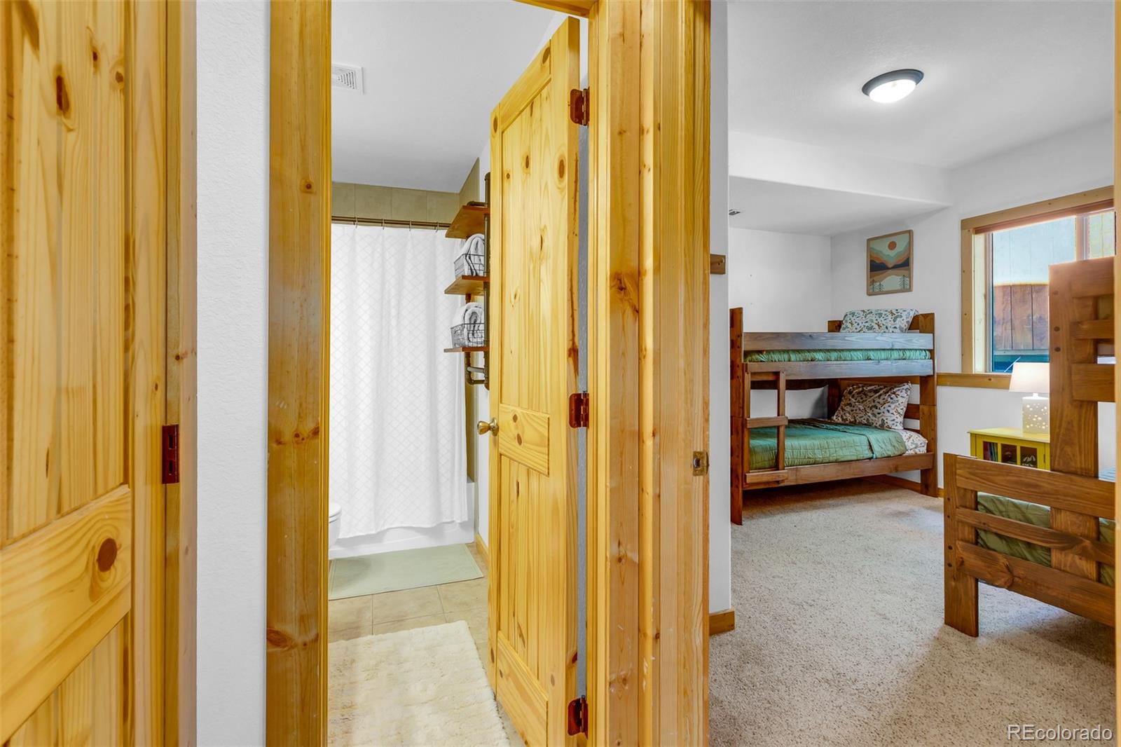 MLS Image #39 for 1205  mountain view drive,fairplay, Colorado