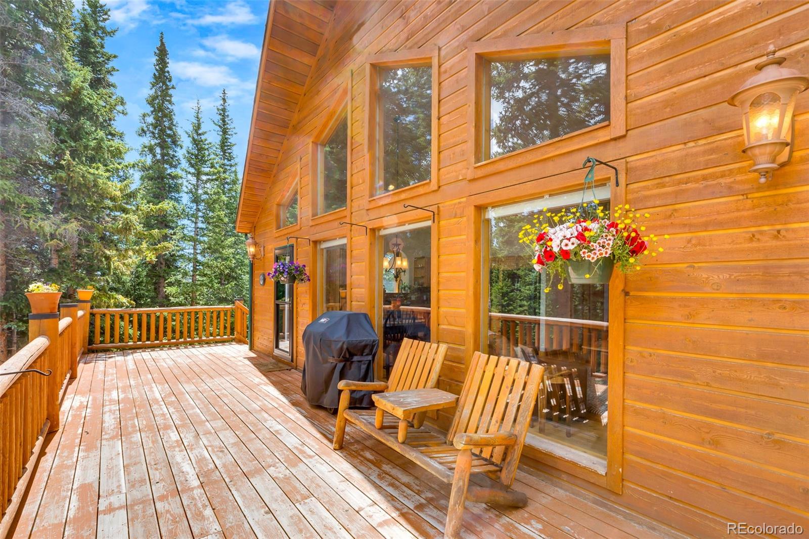 MLS Image #4 for 1205  mountain view drive,fairplay, Colorado