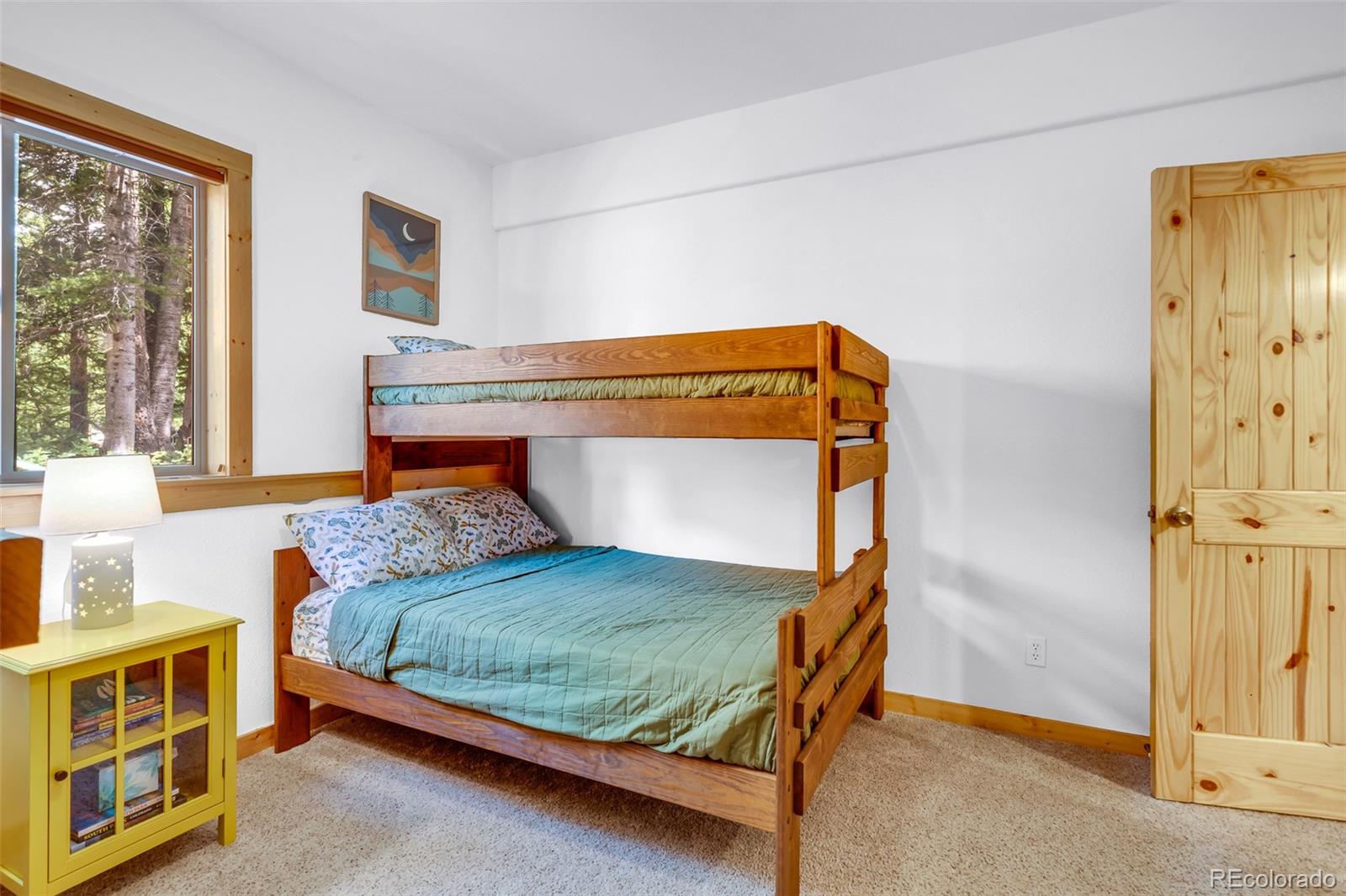 MLS Image #41 for 1205  mountain view drive,fairplay, Colorado