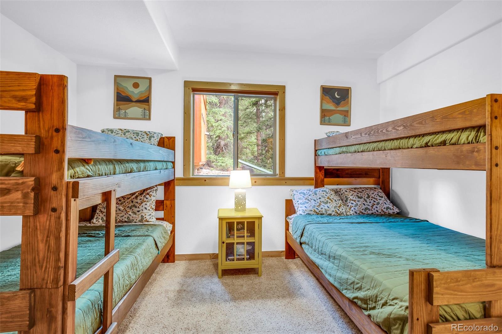 MLS Image #42 for 1205  mountain view drive,fairplay, Colorado