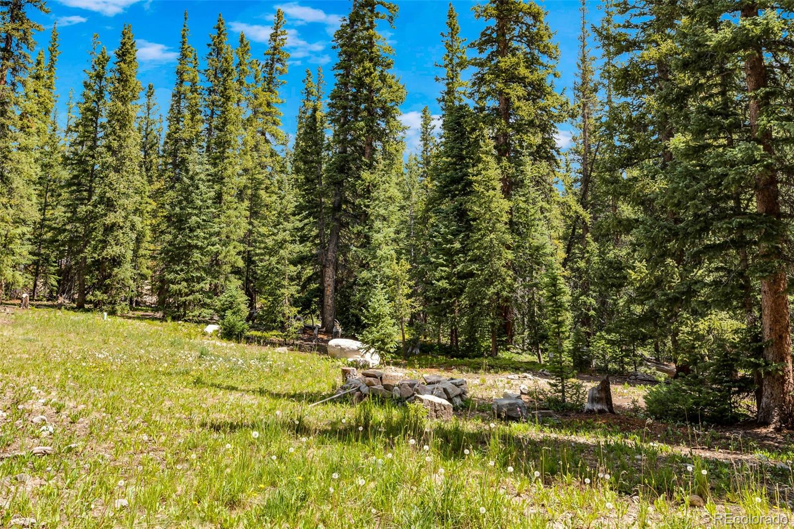 MLS Image #49 for 1205  mountain view drive,fairplay, Colorado