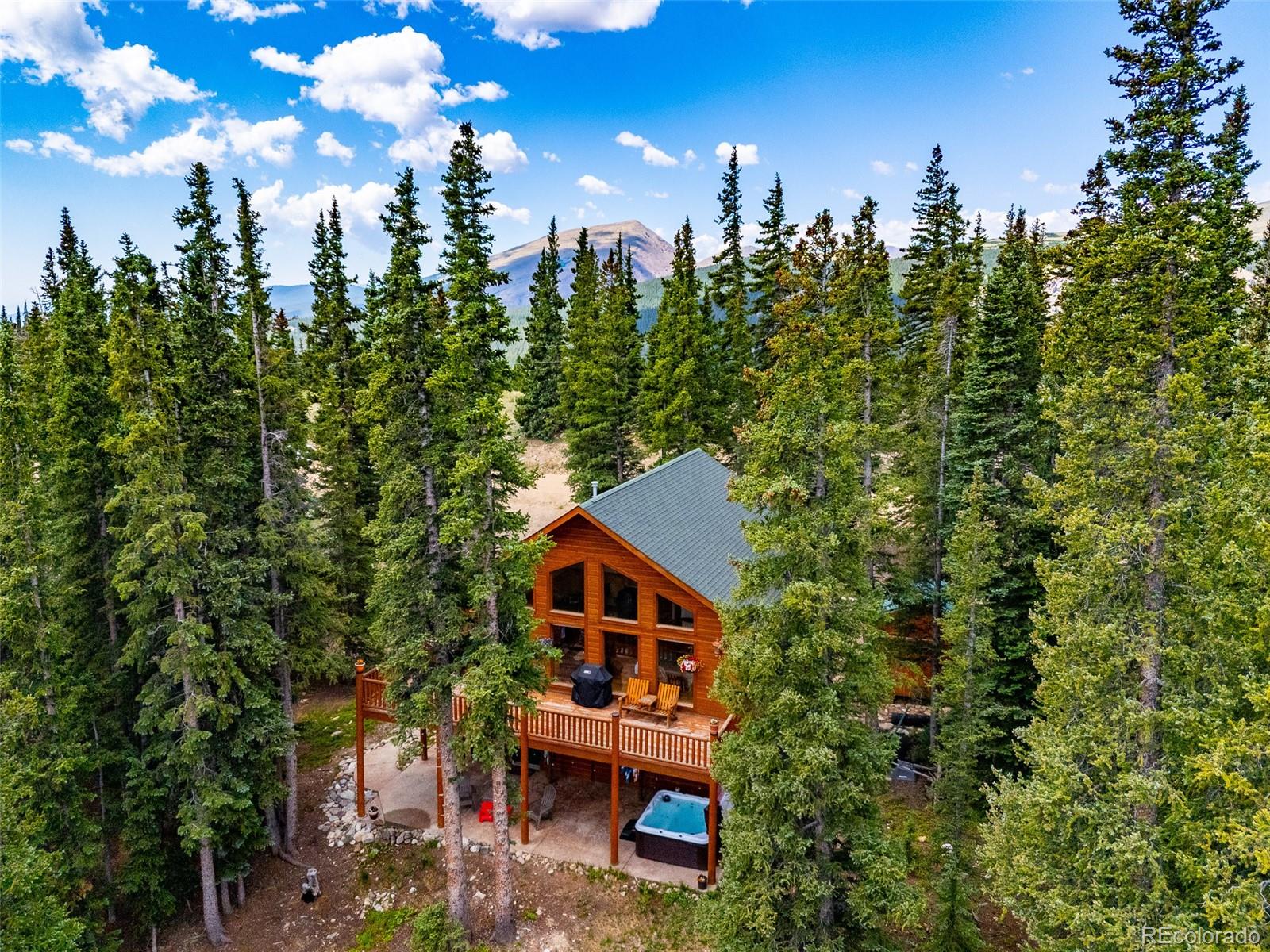 MLS Image #5 for 1205  mountain view drive,fairplay, Colorado