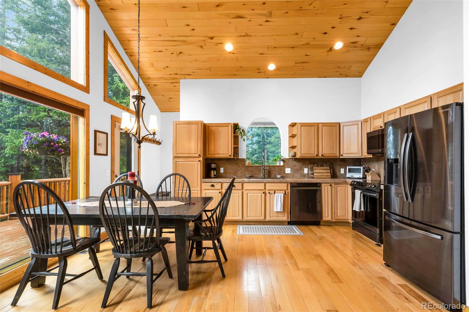 MLS Image #6 for 1205  mountain view drive,fairplay, Colorado