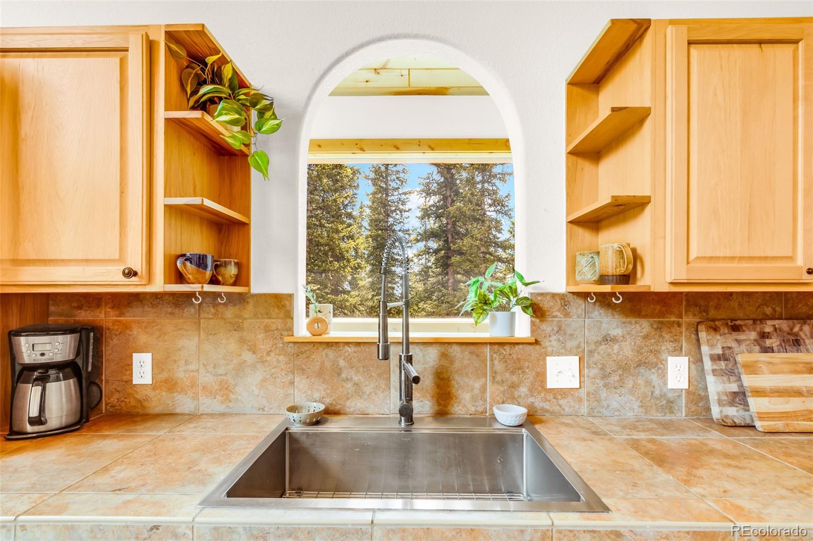 MLS Image #8 for 1205  mountain view drive,fairplay, Colorado