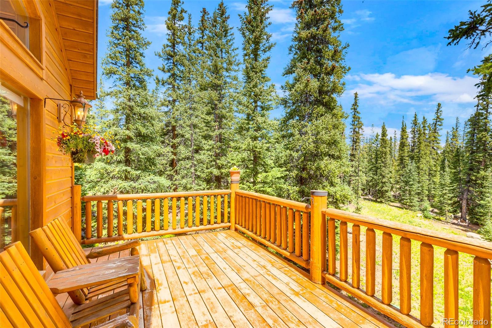 MLS Image #9 for 1205  mountain view drive,fairplay, Colorado