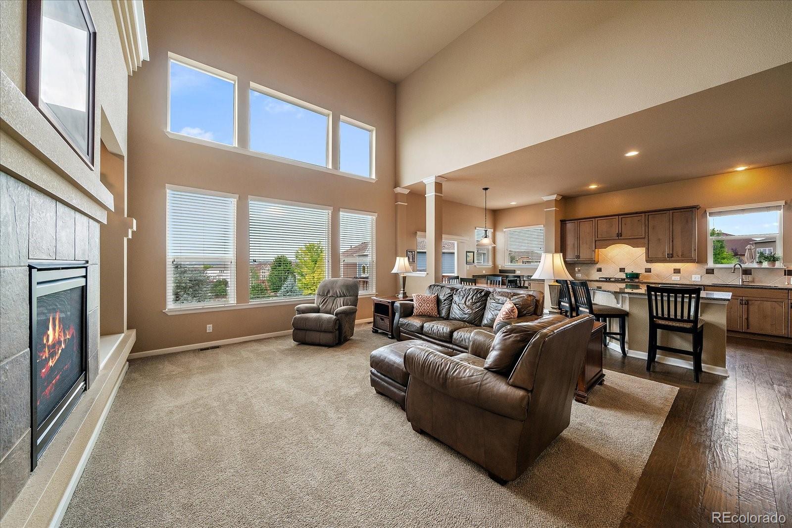 MLS Image #10 for 23515  branston lane,parker, Colorado