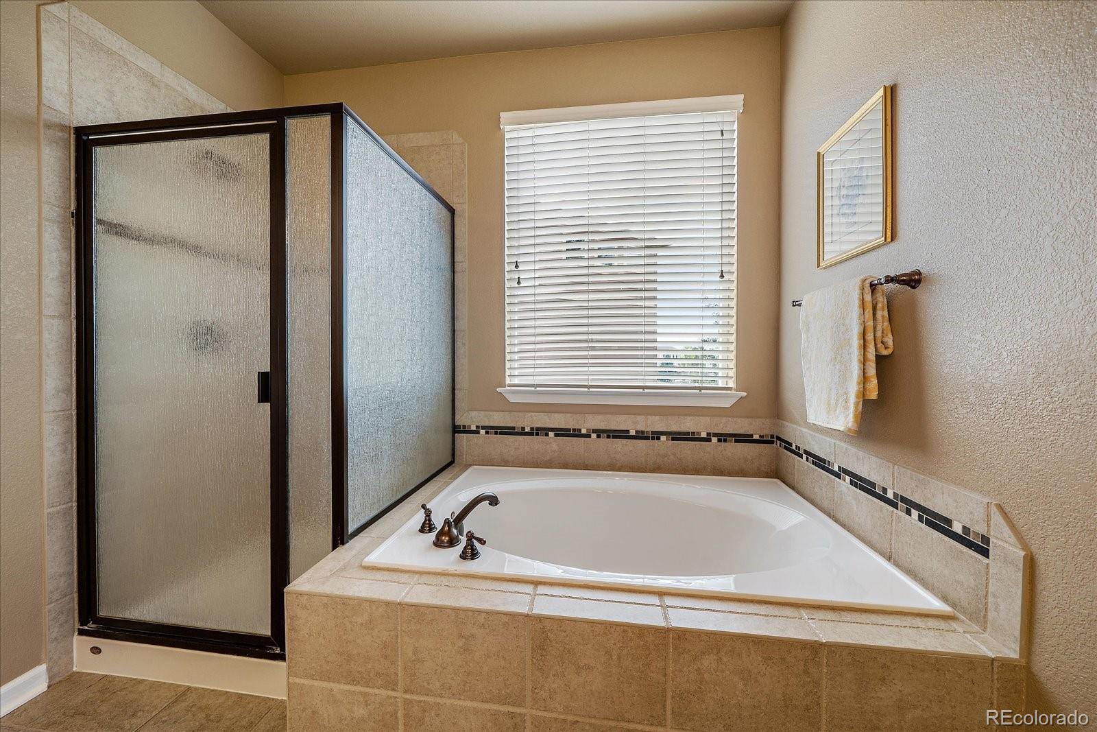 MLS Image #21 for 23515  branston lane,parker, Colorado
