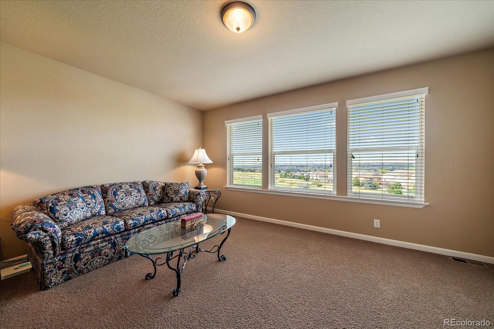MLS Image #25 for 23515  branston lane,parker, Colorado