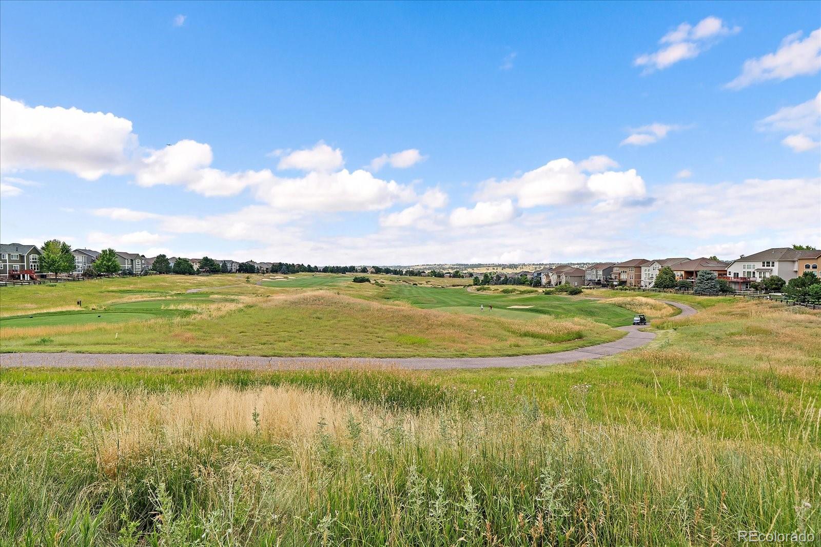 MLS Image #44 for 23515  branston lane,parker, Colorado