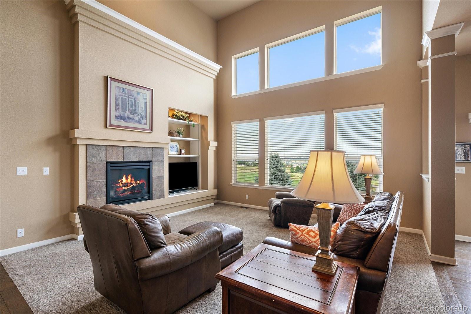 MLS Image #8 for 23515  branston lane,parker, Colorado