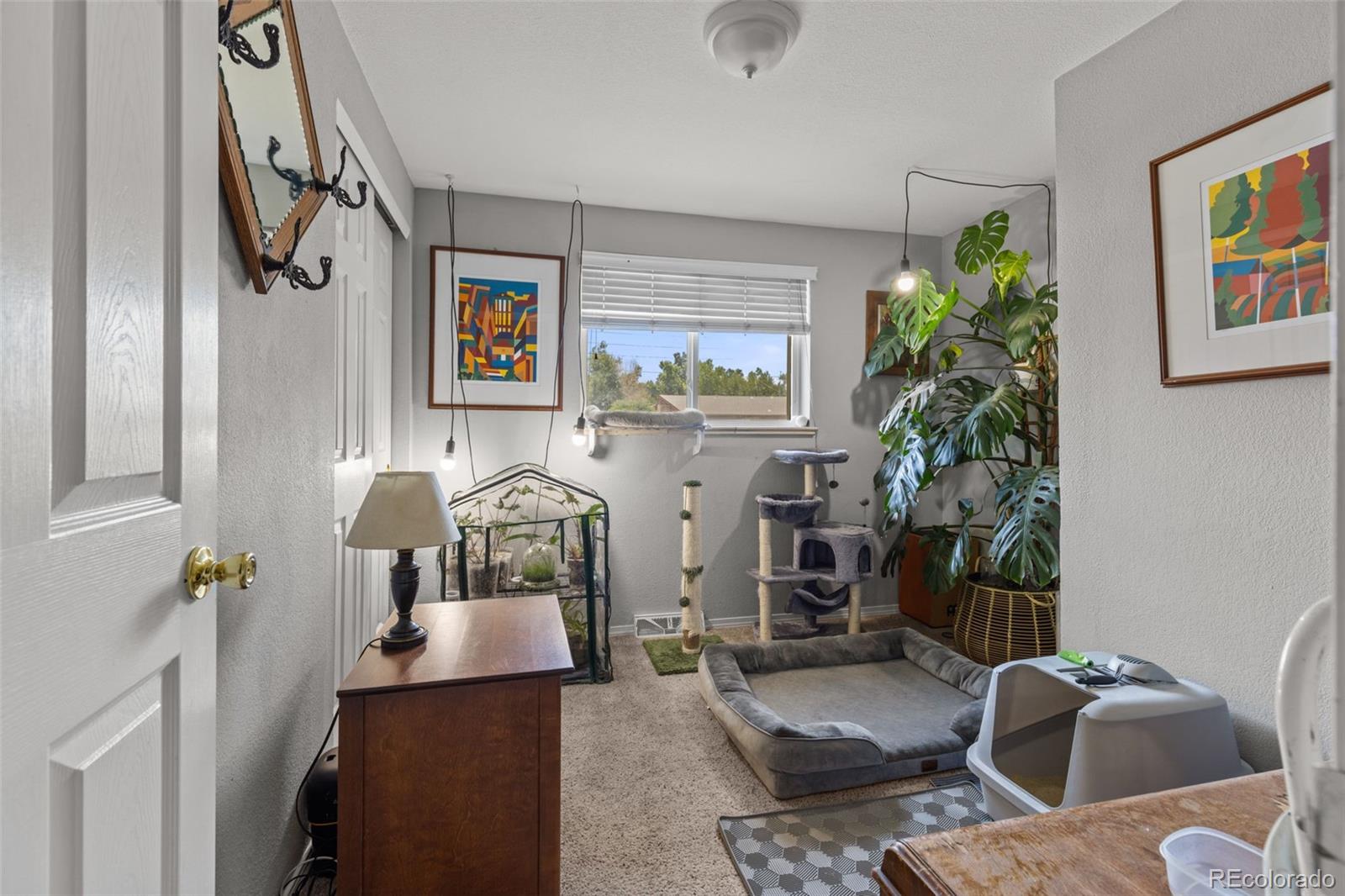 MLS Image #12 for 4653  dover street,wheat ridge, Colorado