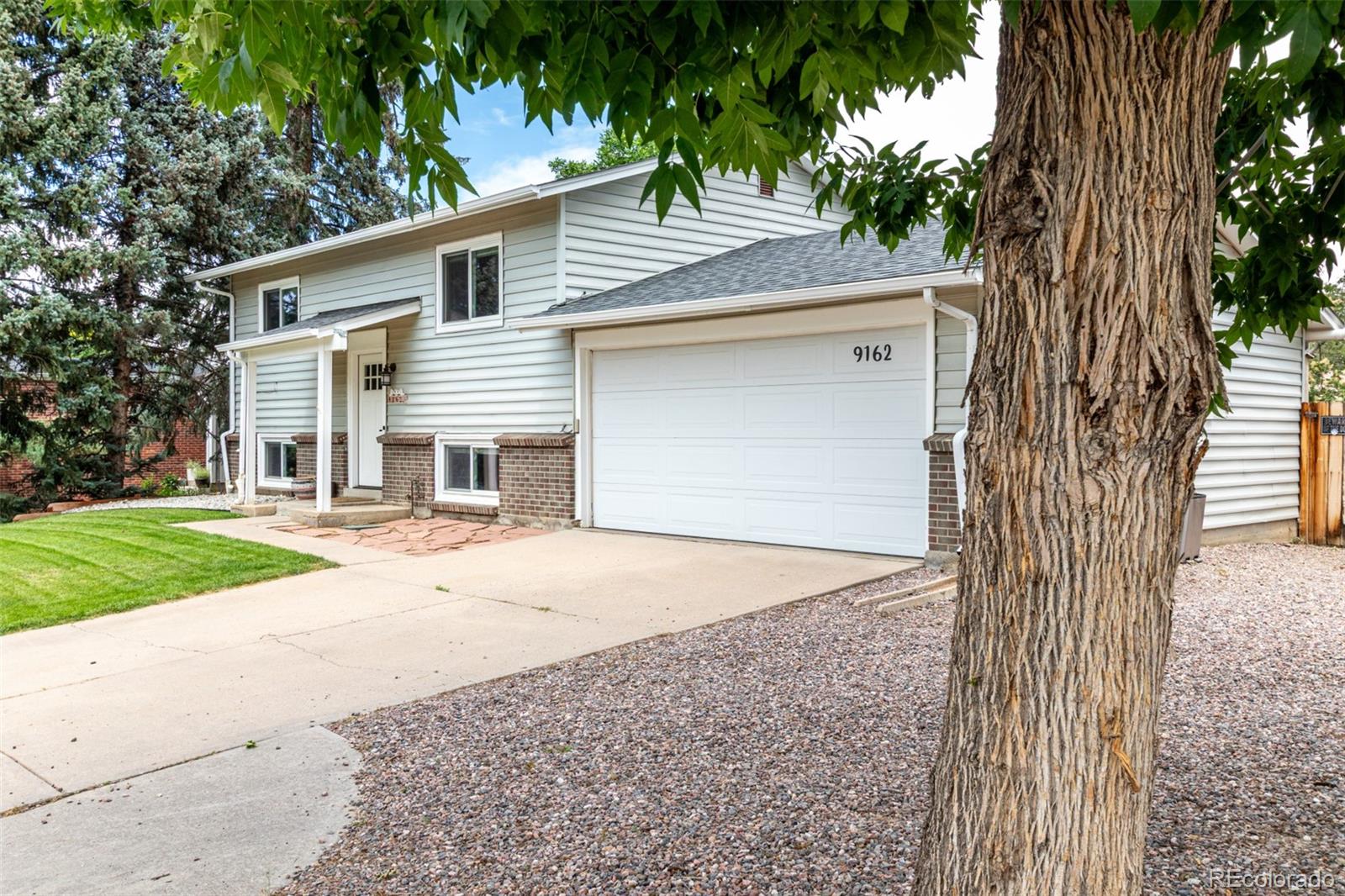 MLS Image #3 for 9162  everett street,broomfield, Colorado