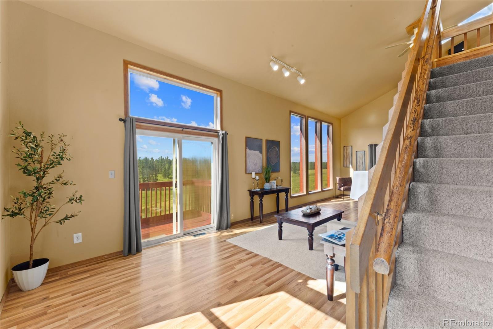 MLS Image #10 for 428  ridge drive,divide, Colorado