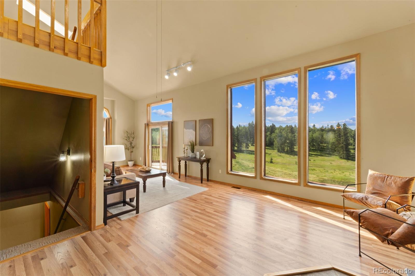 MLS Image #13 for 428  ridge drive,divide, Colorado
