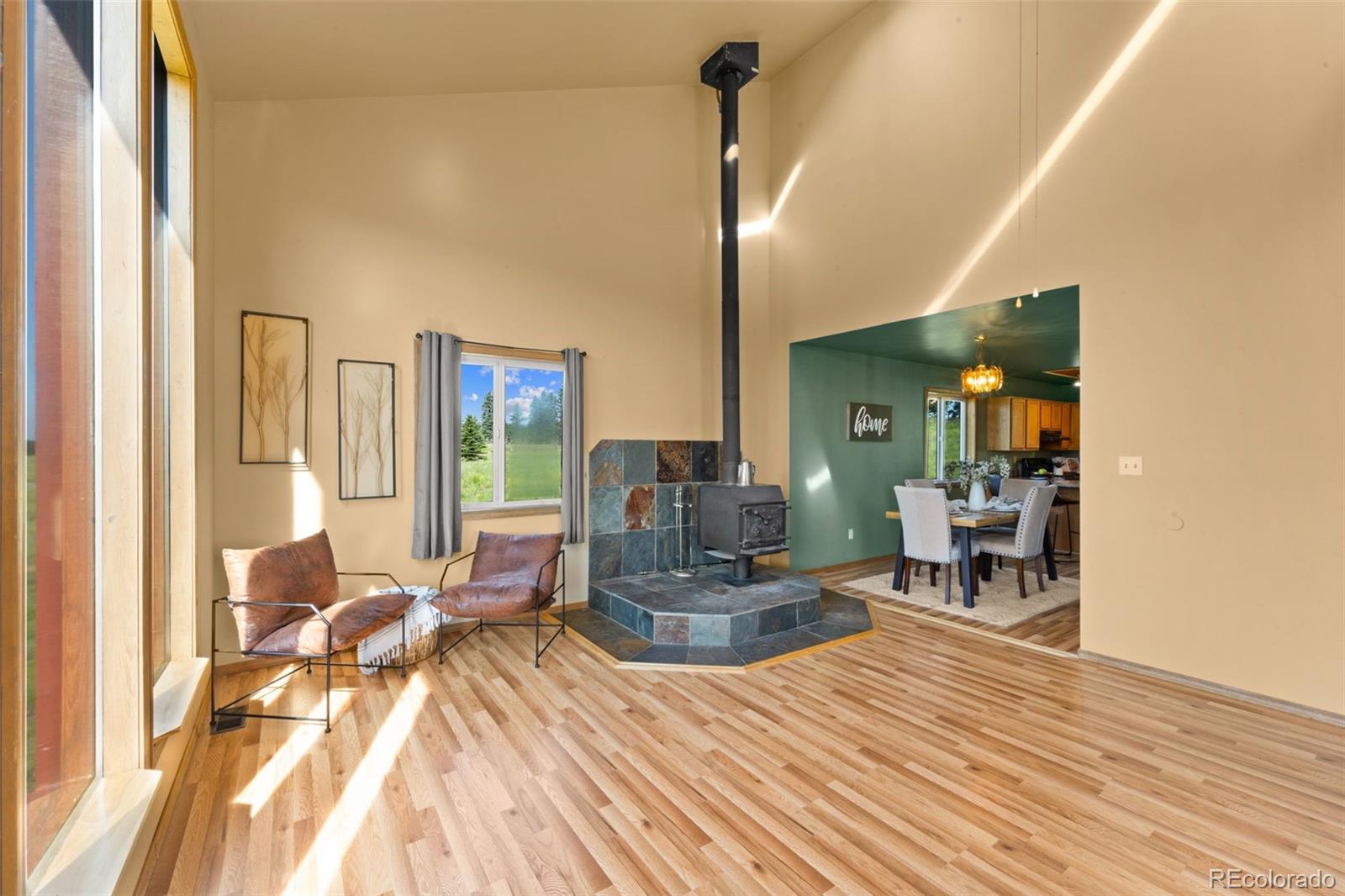 MLS Image #14 for 428  ridge drive,divide, Colorado