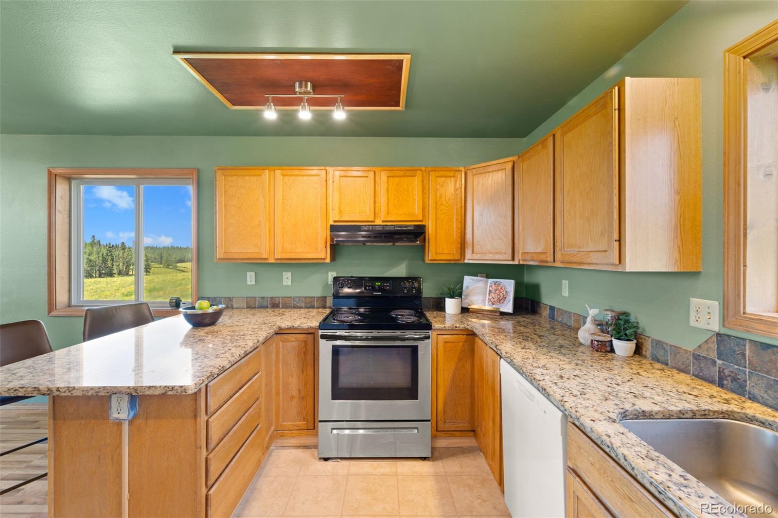 MLS Image #20 for 428  ridge drive,divide, Colorado