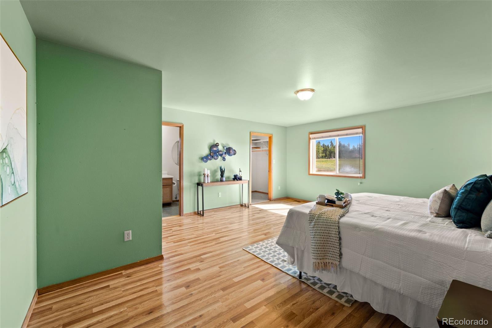 MLS Image #25 for 428  ridge drive,divide, Colorado