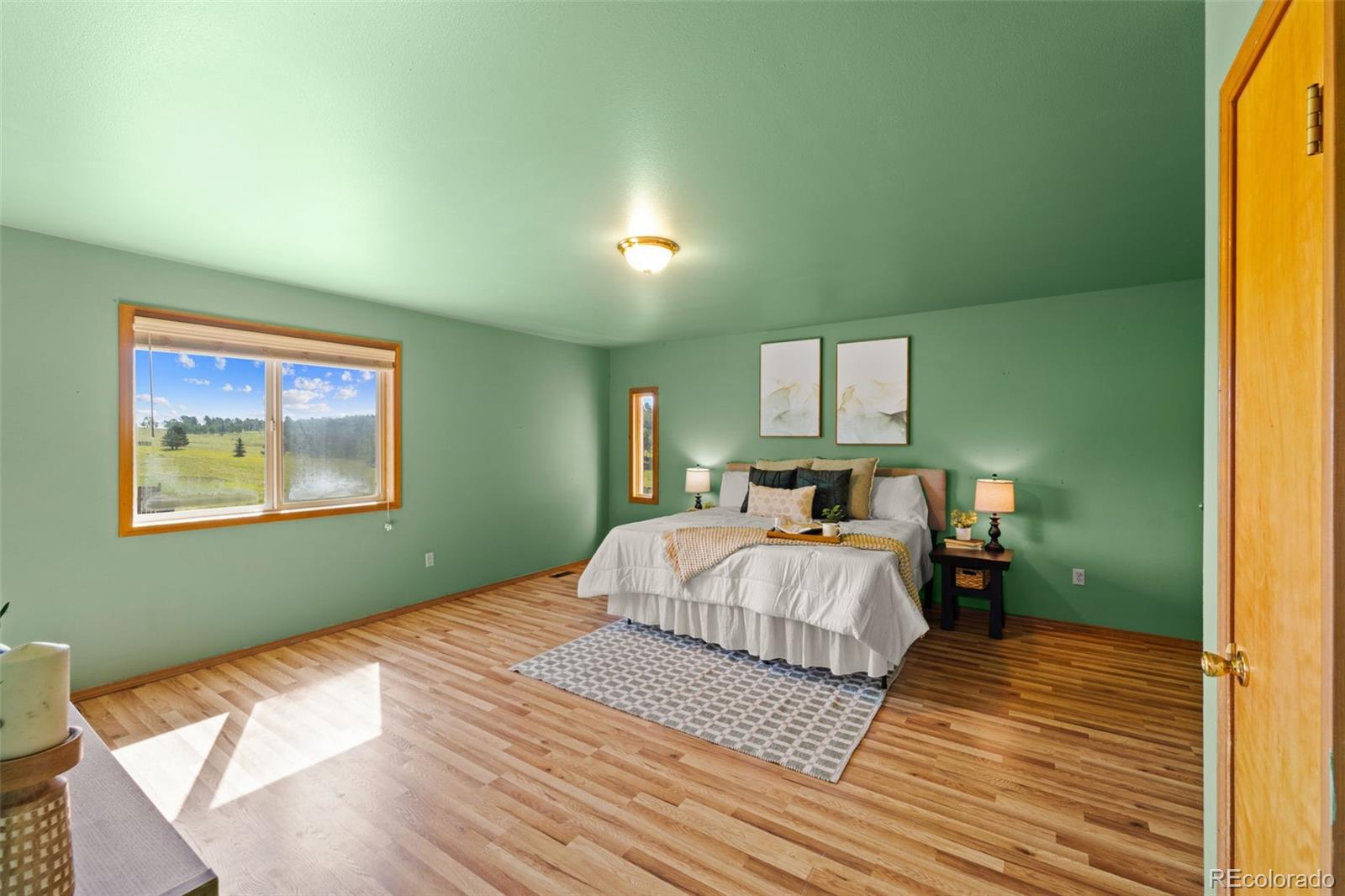 MLS Image #26 for 428  ridge drive,divide, Colorado