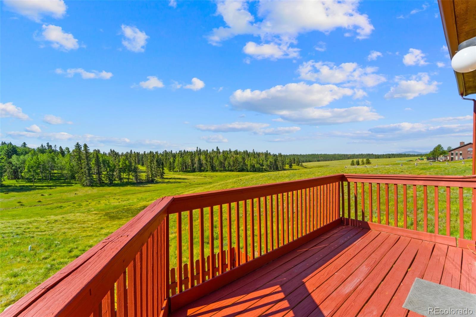 MLS Image #4 for 428  ridge drive,divide, Colorado