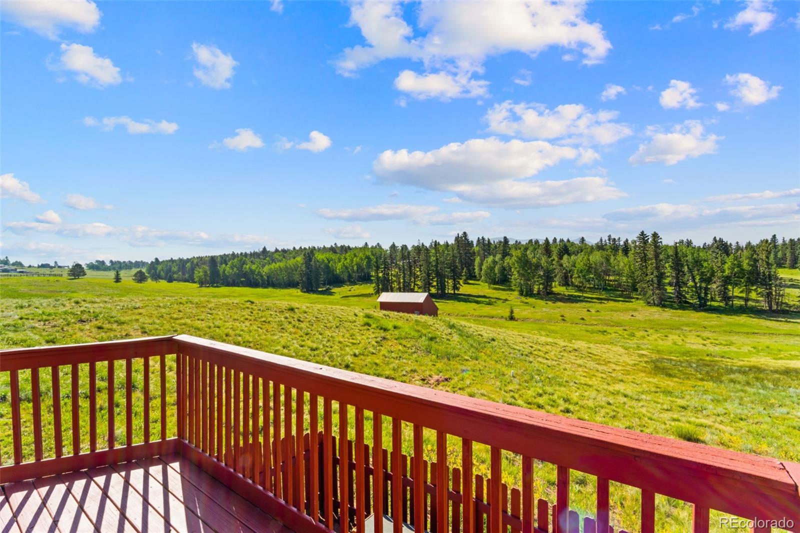 MLS Image #5 for 428  ridge drive,divide, Colorado