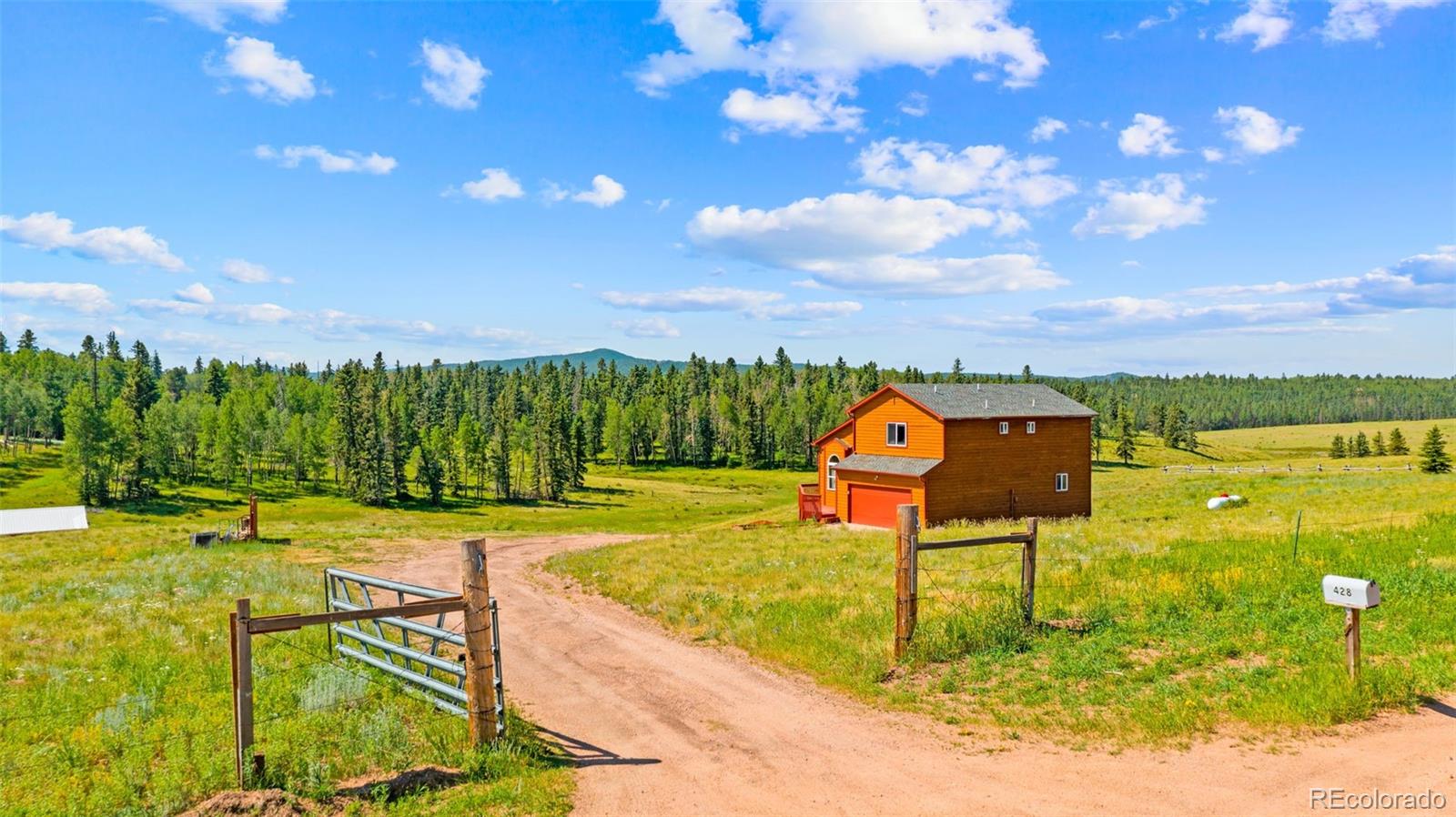 MLS Image #8 for 428  ridge drive,divide, Colorado