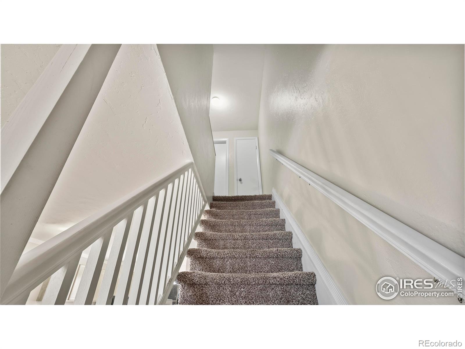 MLS Image #10 for 215  chestnut street,windsor, Colorado