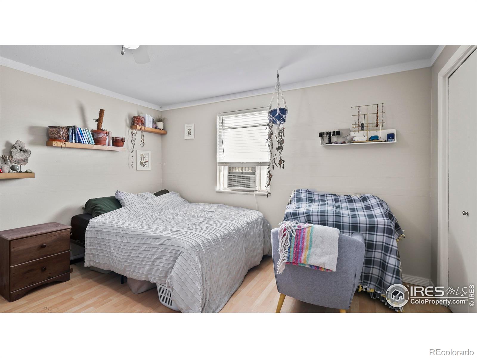 MLS Image #11 for 215  chestnut street,windsor, Colorado